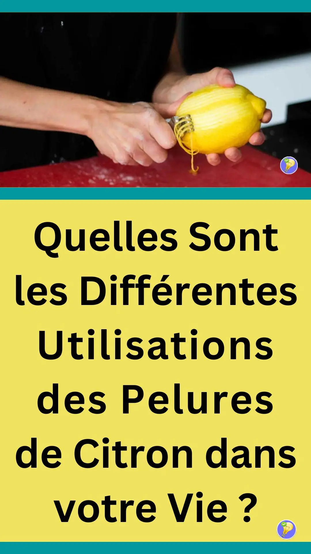 Les services offerts par une peau d'agrume 