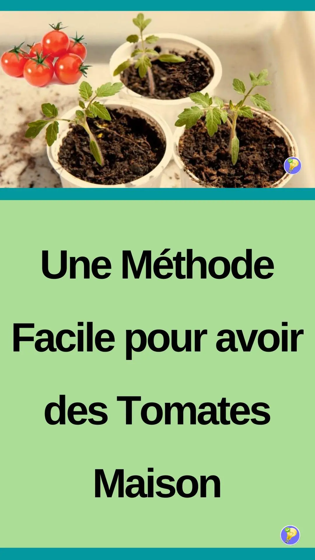 Astuce facile pour avoir des tomates maison 