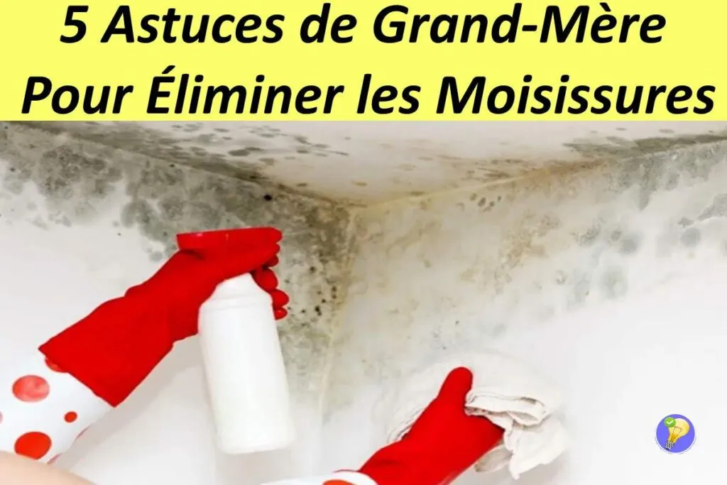 Des astuces maison pour éliminer la moisissure 