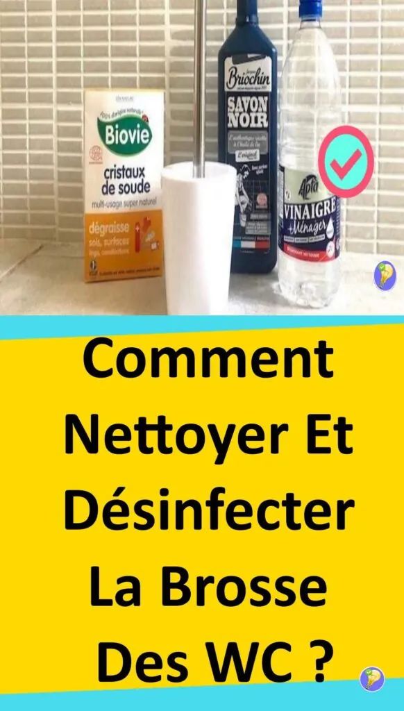 Astuce pour nettoyer et désinfecter la brosse des WC 