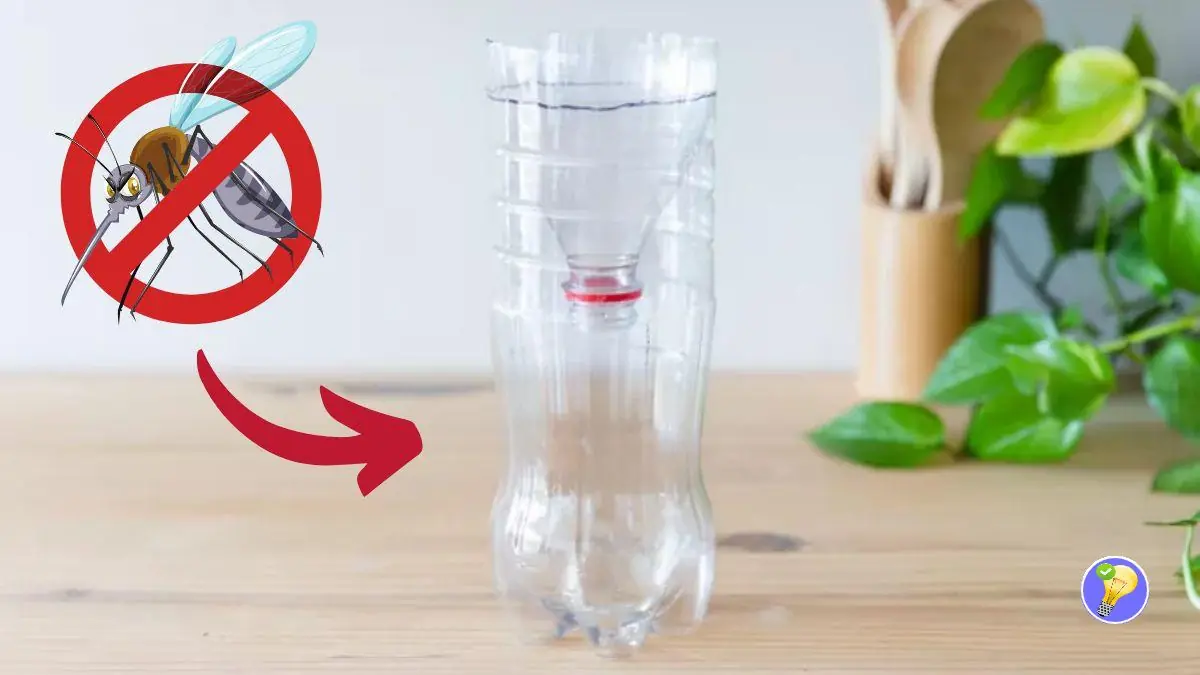 Piège à Moustiques fait maison : Dites adieu aux Piqûres cet été