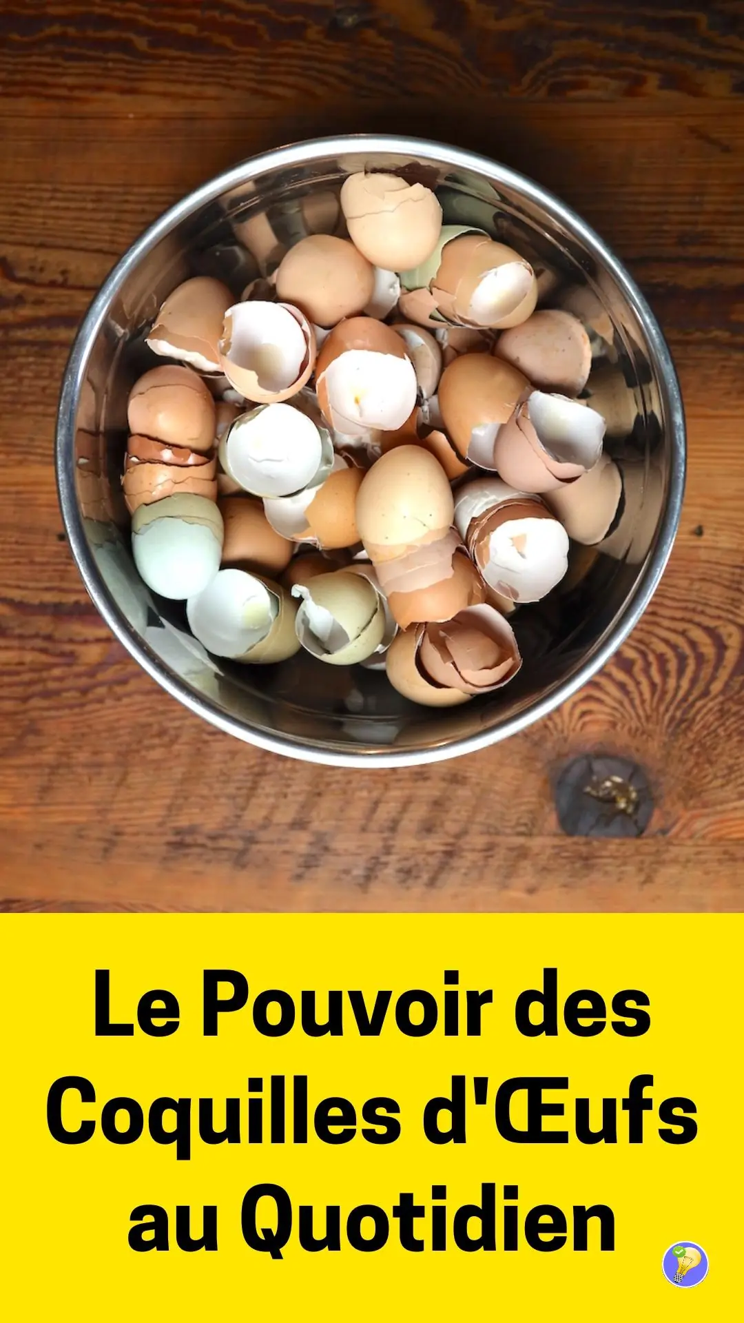 Utilisations des coquilles d'œufs dans la maison 