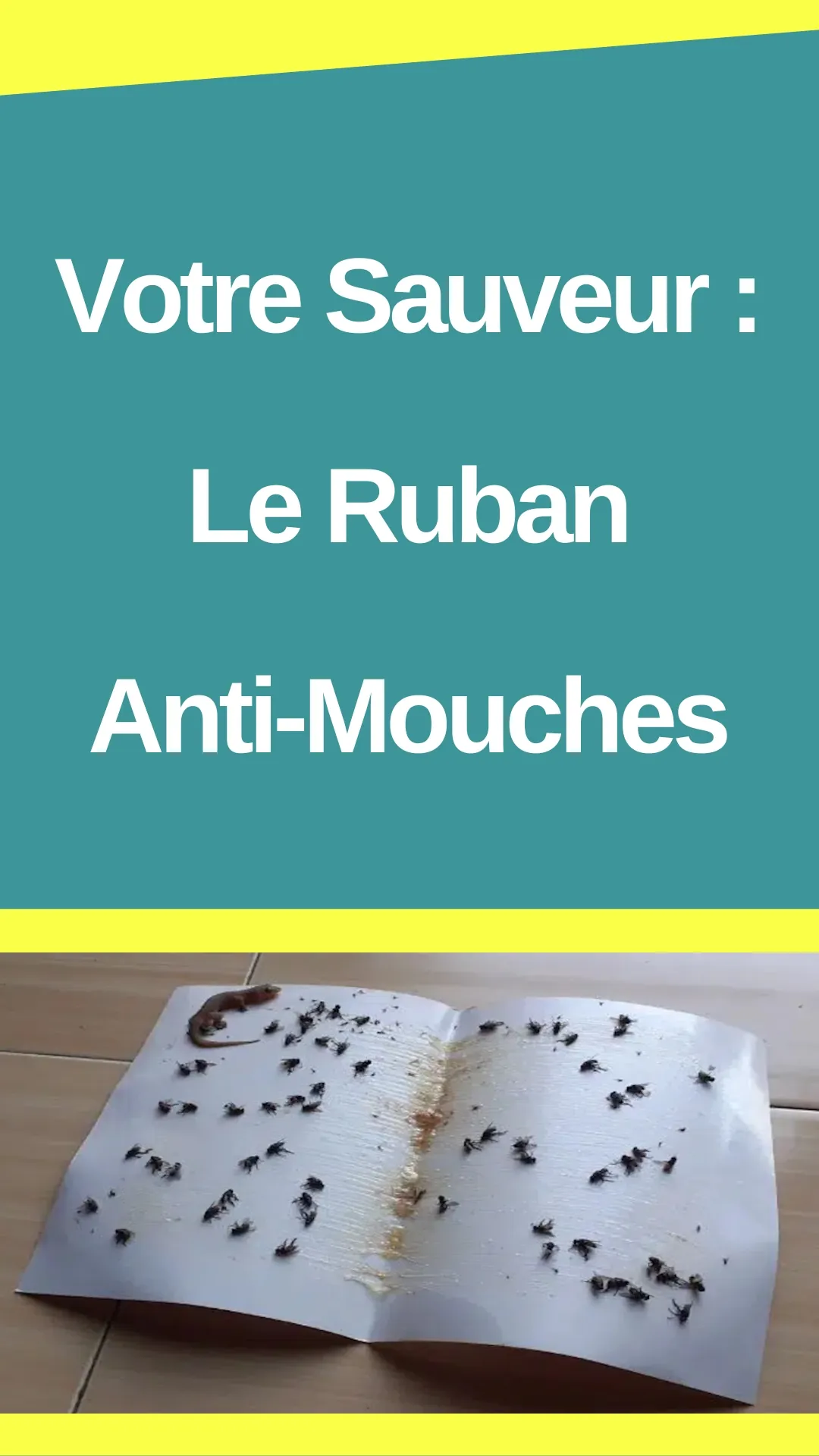 Astuces pour fabriquer son ruban anti-mouches  