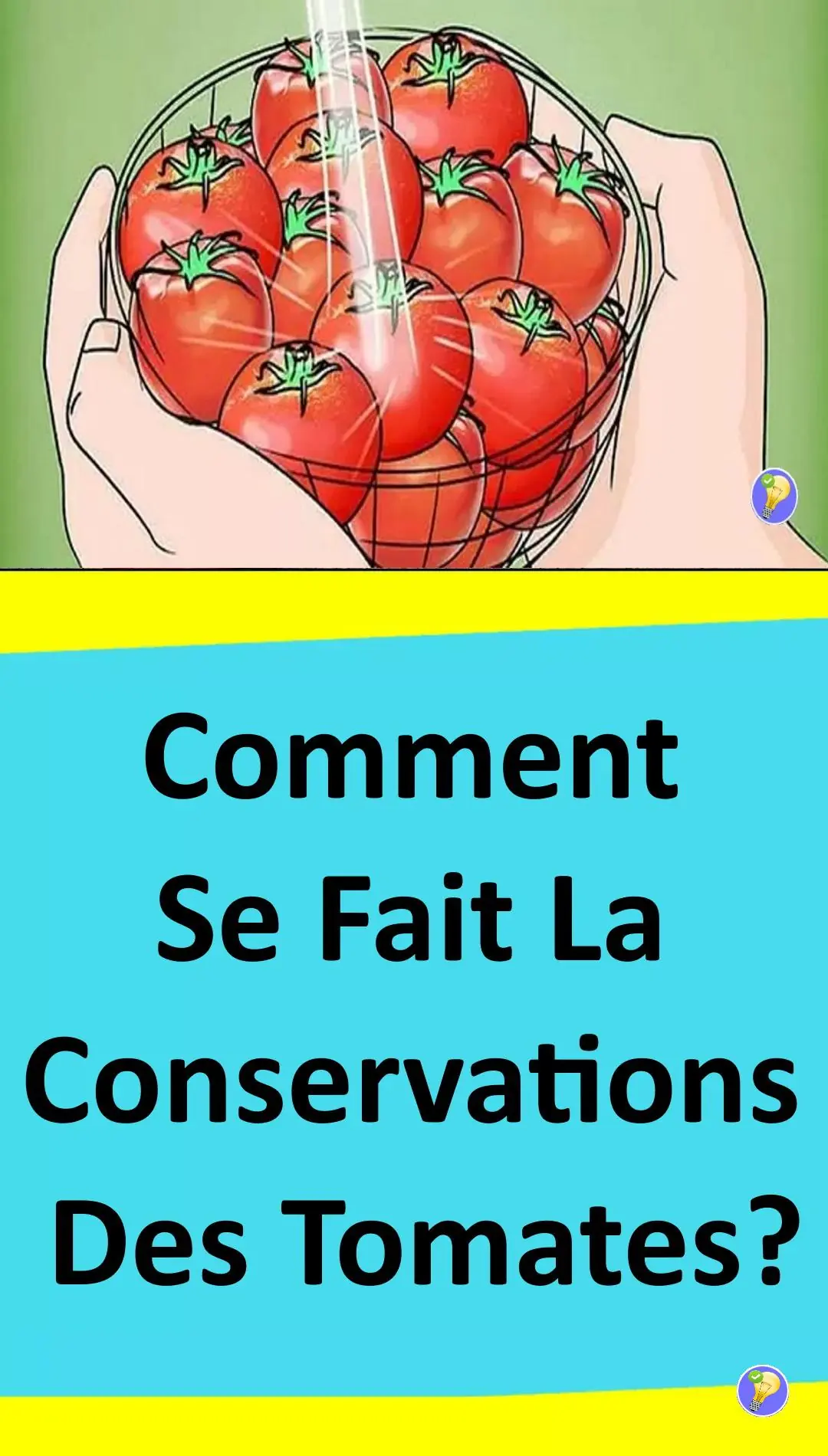 astuces pour conserver les tomates 