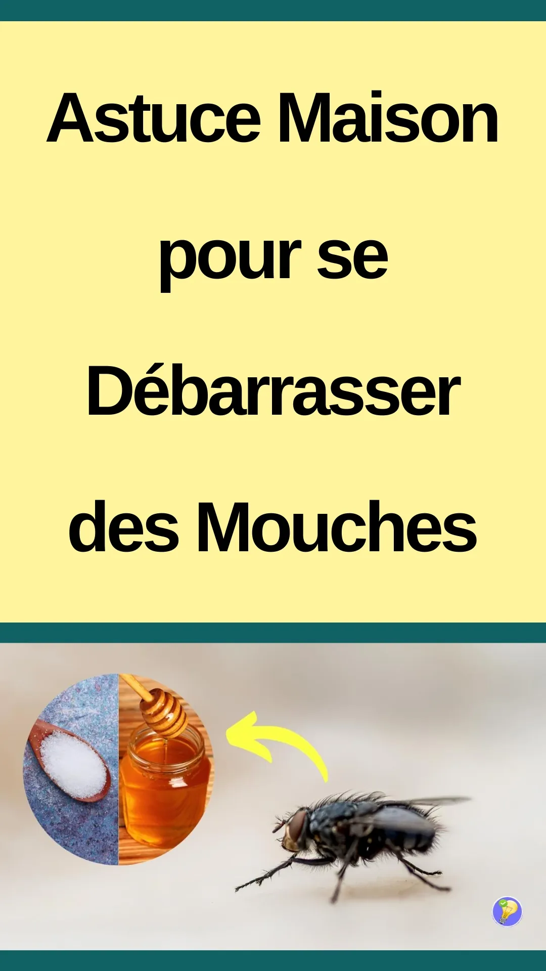 Astuce maison pour se débarrasser des mouches 