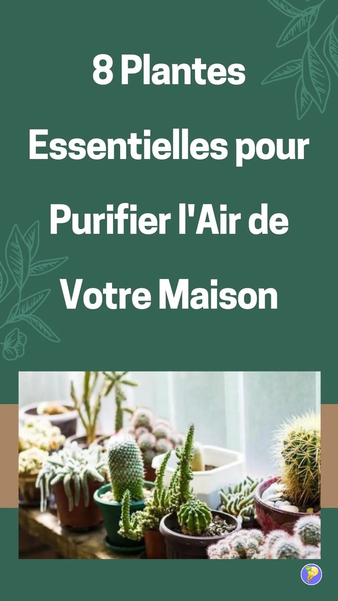 Des plantes qui purifient l'air