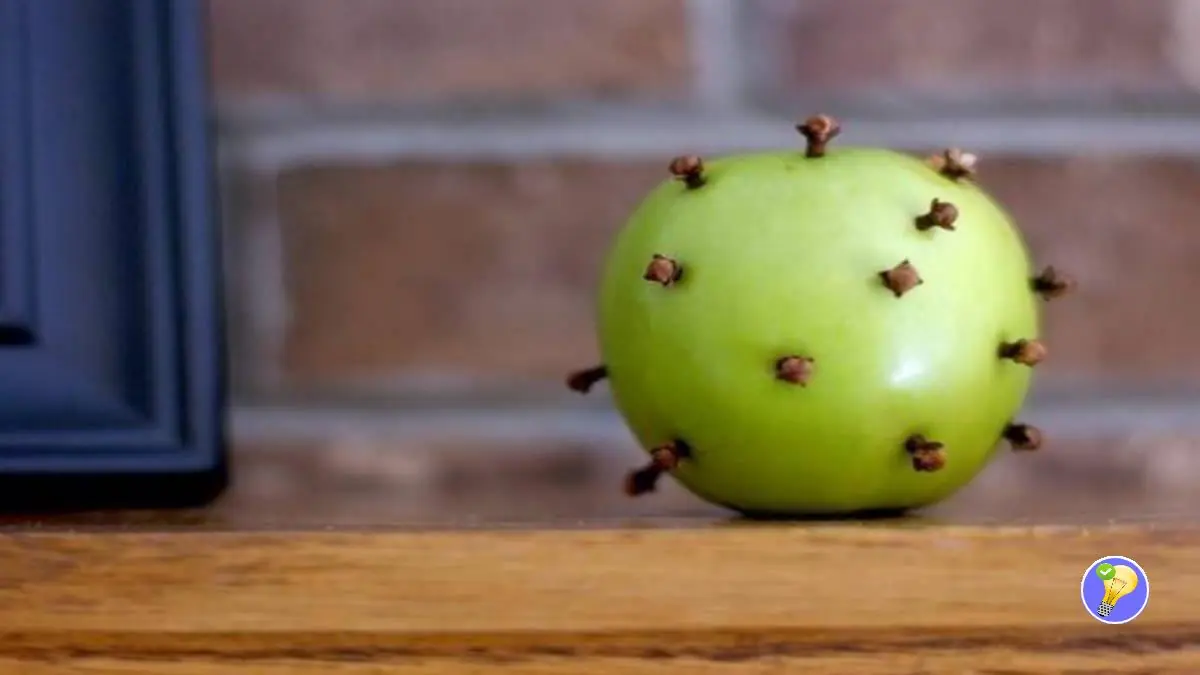 Comment se Débarrasser des Mouches avec 30 Clous de Girofle?