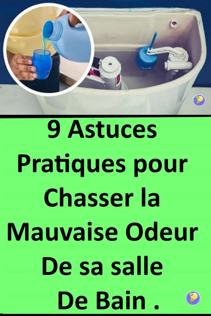 Des astuces pour enlever la mauvaise odeur de sa salle de bain 