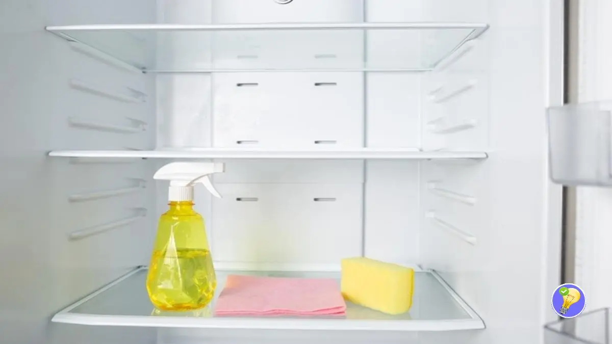Comment avoir un Frigo Impeccable en 5 Étapes Simples