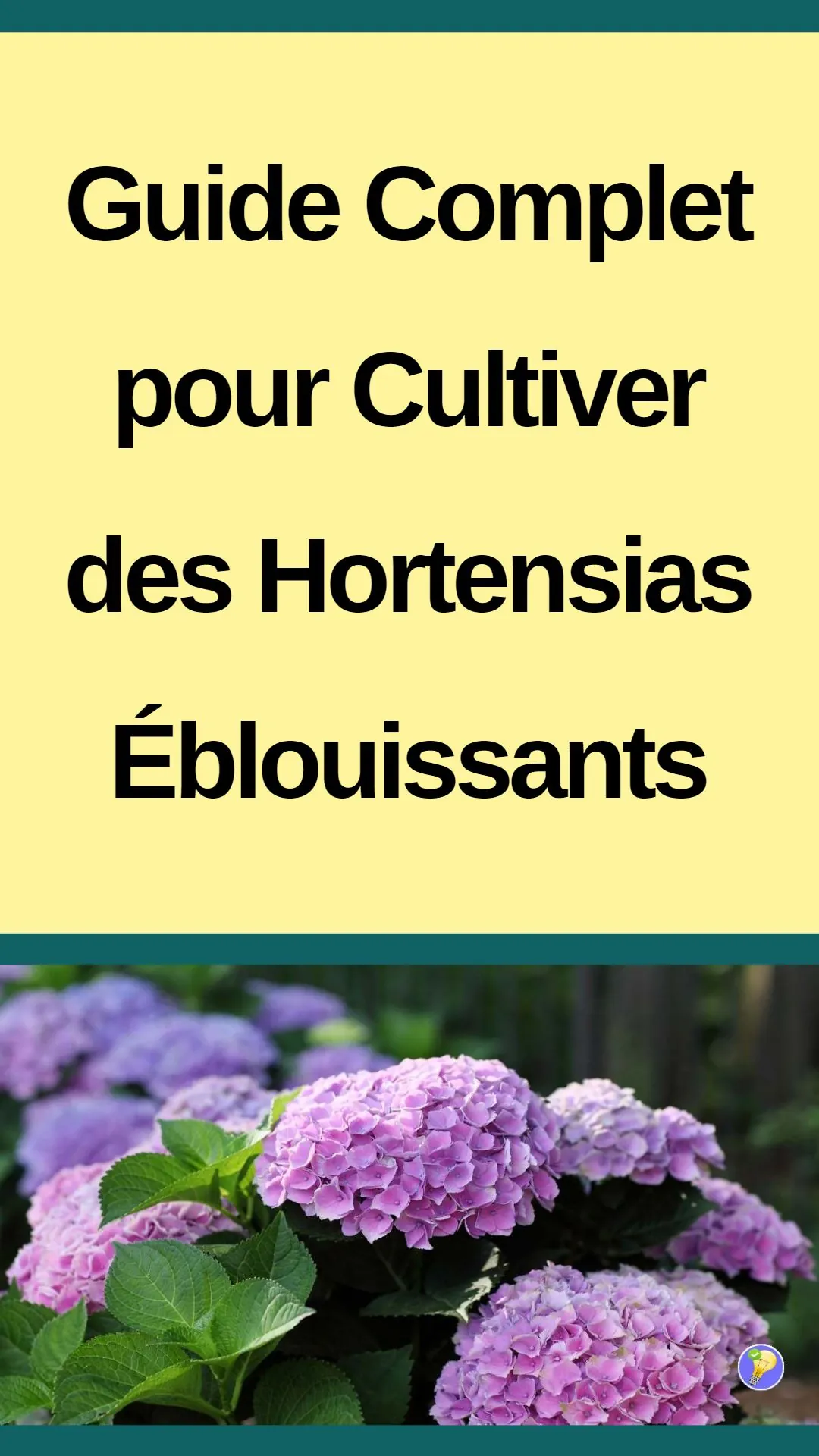 Astuces pour réussir la culture des hortensias 