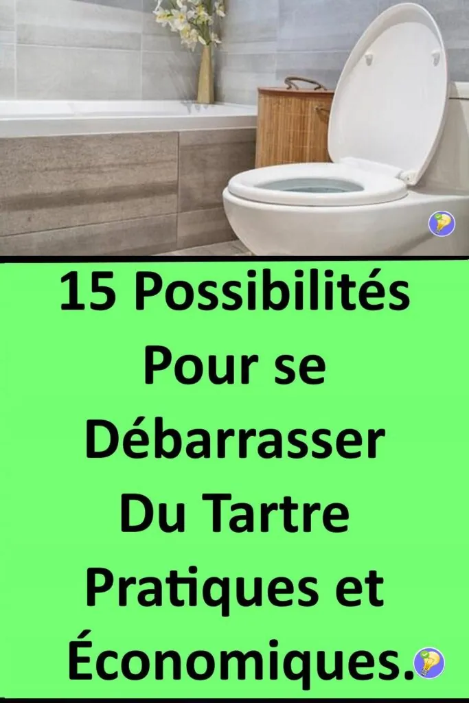 15 Astuces pour détartrer les WC 