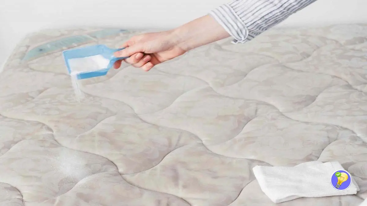 Taches d’Urine 10 Astuces pour Nettoyer son Matelas