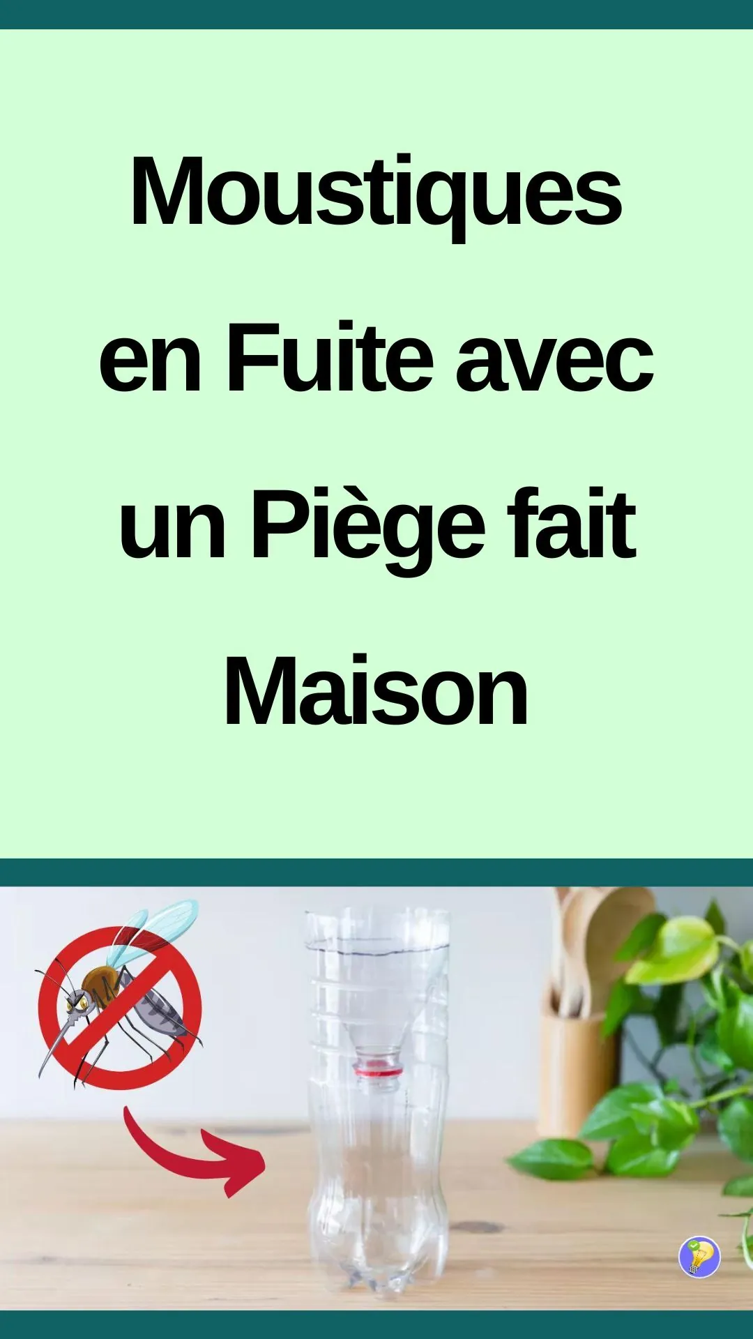 Astuce pour se débarrasser des moustiques avec un piège fait maison 