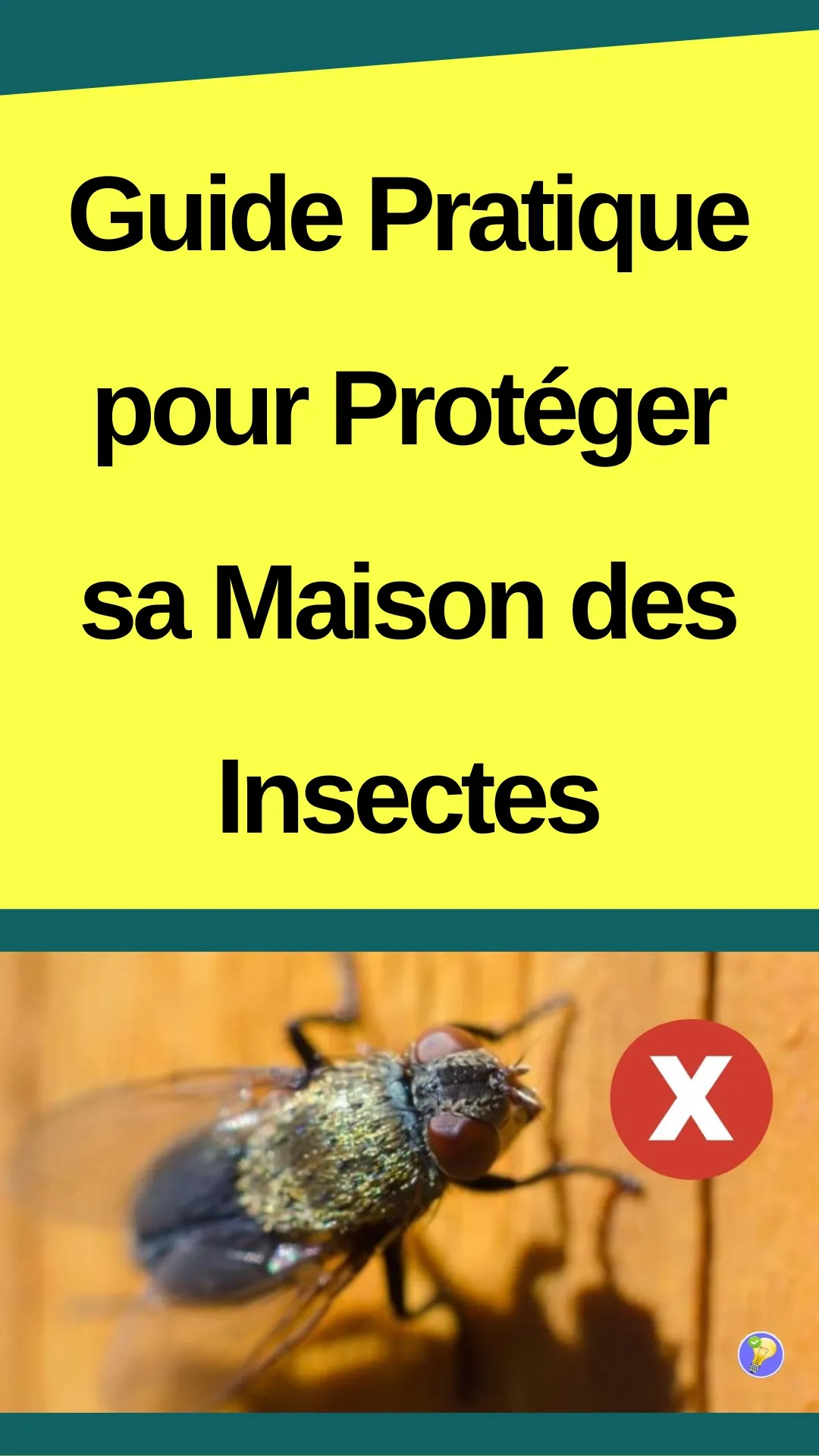 Astuces et trucs pour éloigner les insectes de chez soi 