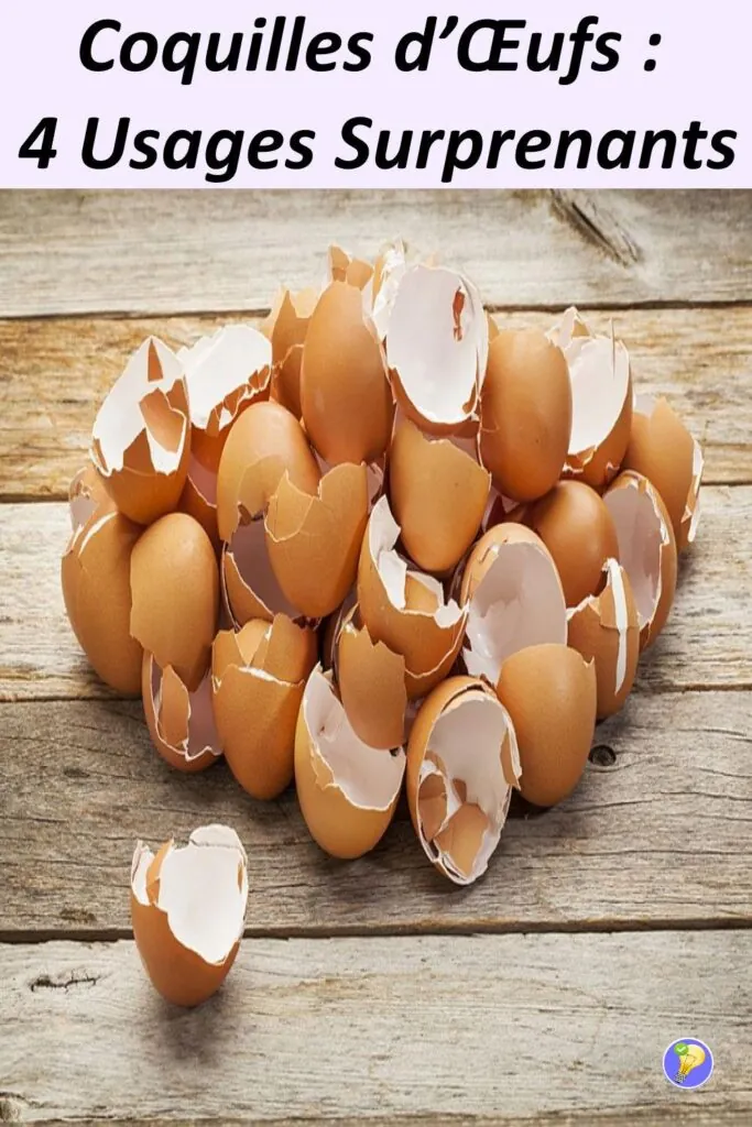 4 Utilisations des Coquilles d'Œufs 