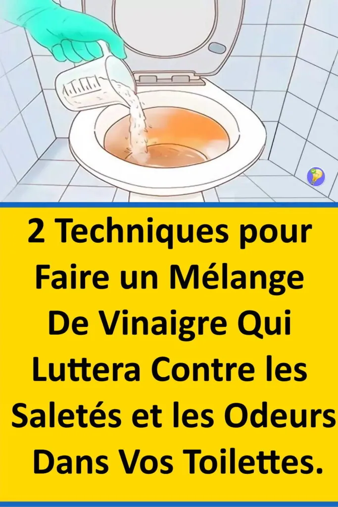 2 Astuces Efficaces à Base de Vinaigre Blanc Rendre Propre vos Toilettes  