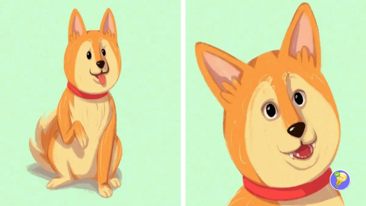 Comprendre Votre Chien Sans Mots L Importance Du Langage Corporel Comprendre votre chien sans mots l importance du langage corporel