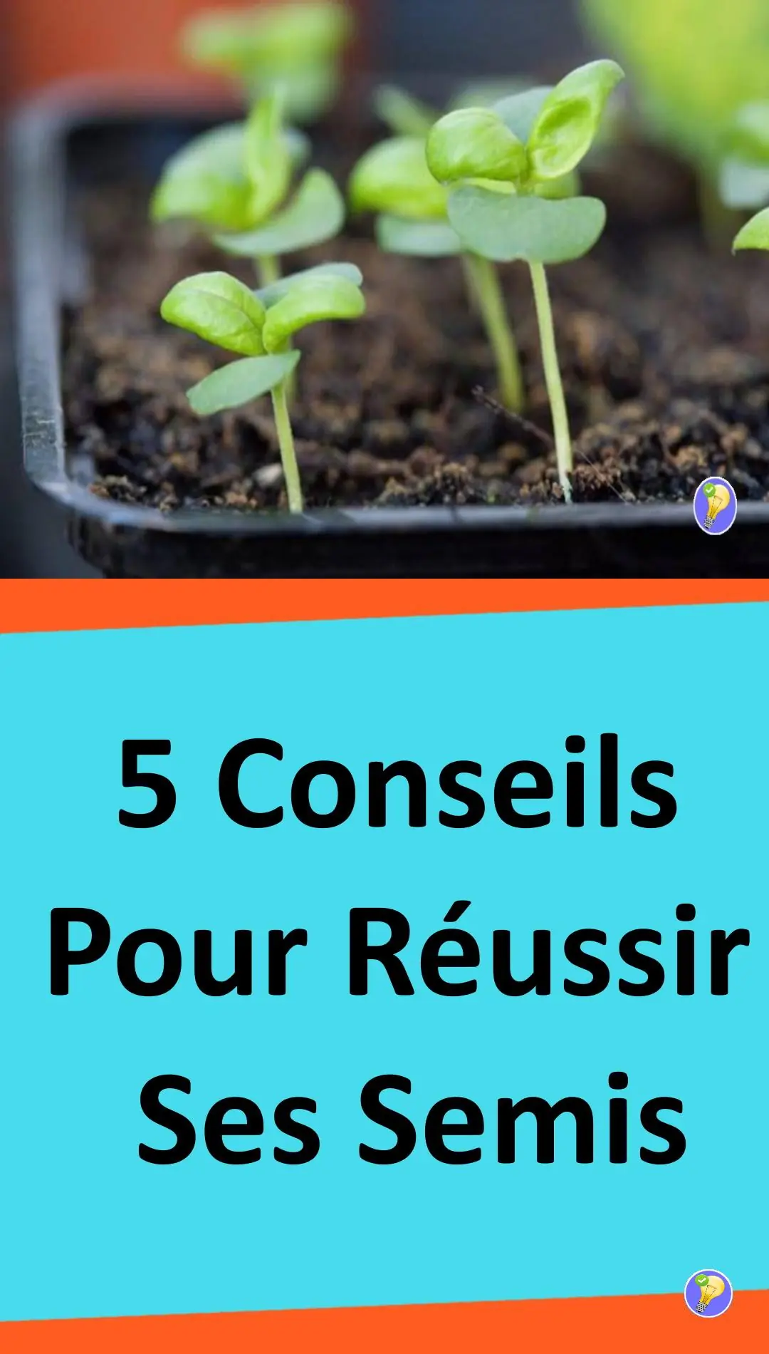 Astuces pour réussir ses semis 