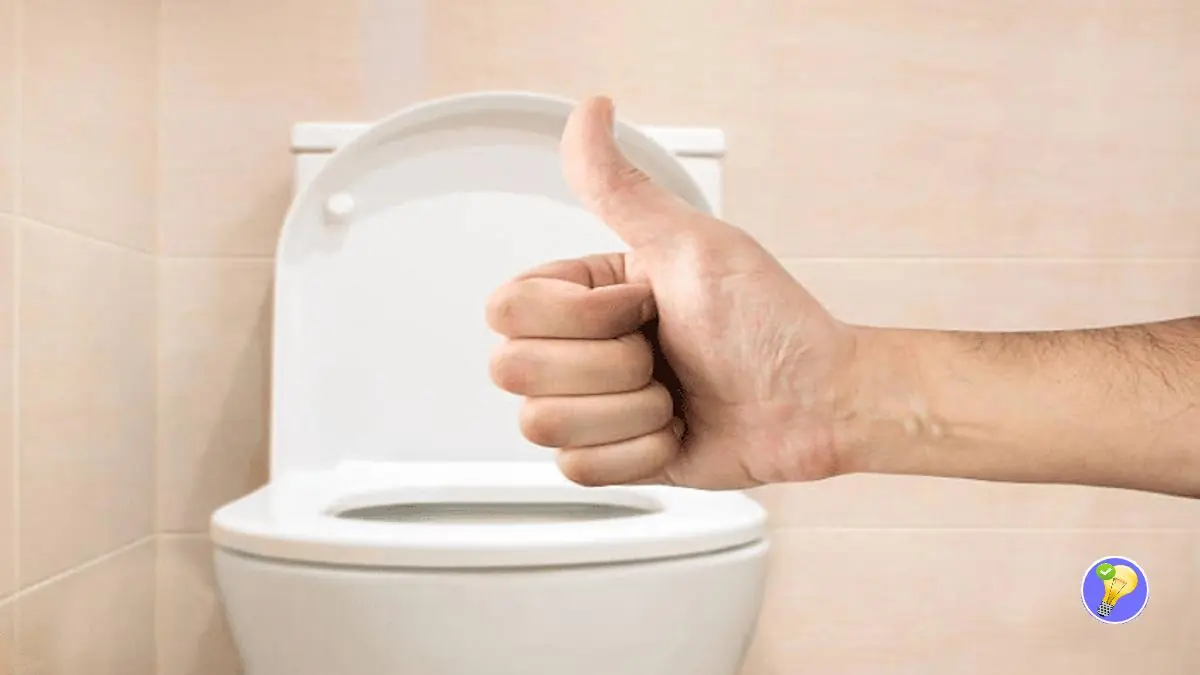 Tipps, um Toiletten immer angenehm frisch zu halten