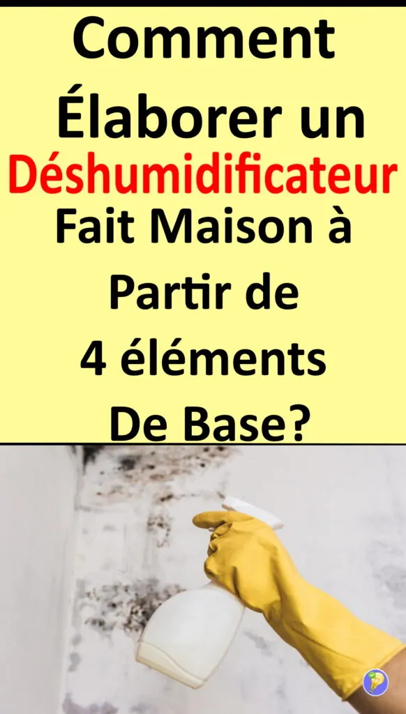Recette pour éliminer la moisissure