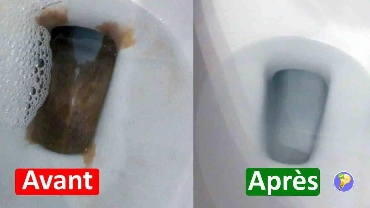 Détartrer les Toilettes : 4 Méthodes écologiques