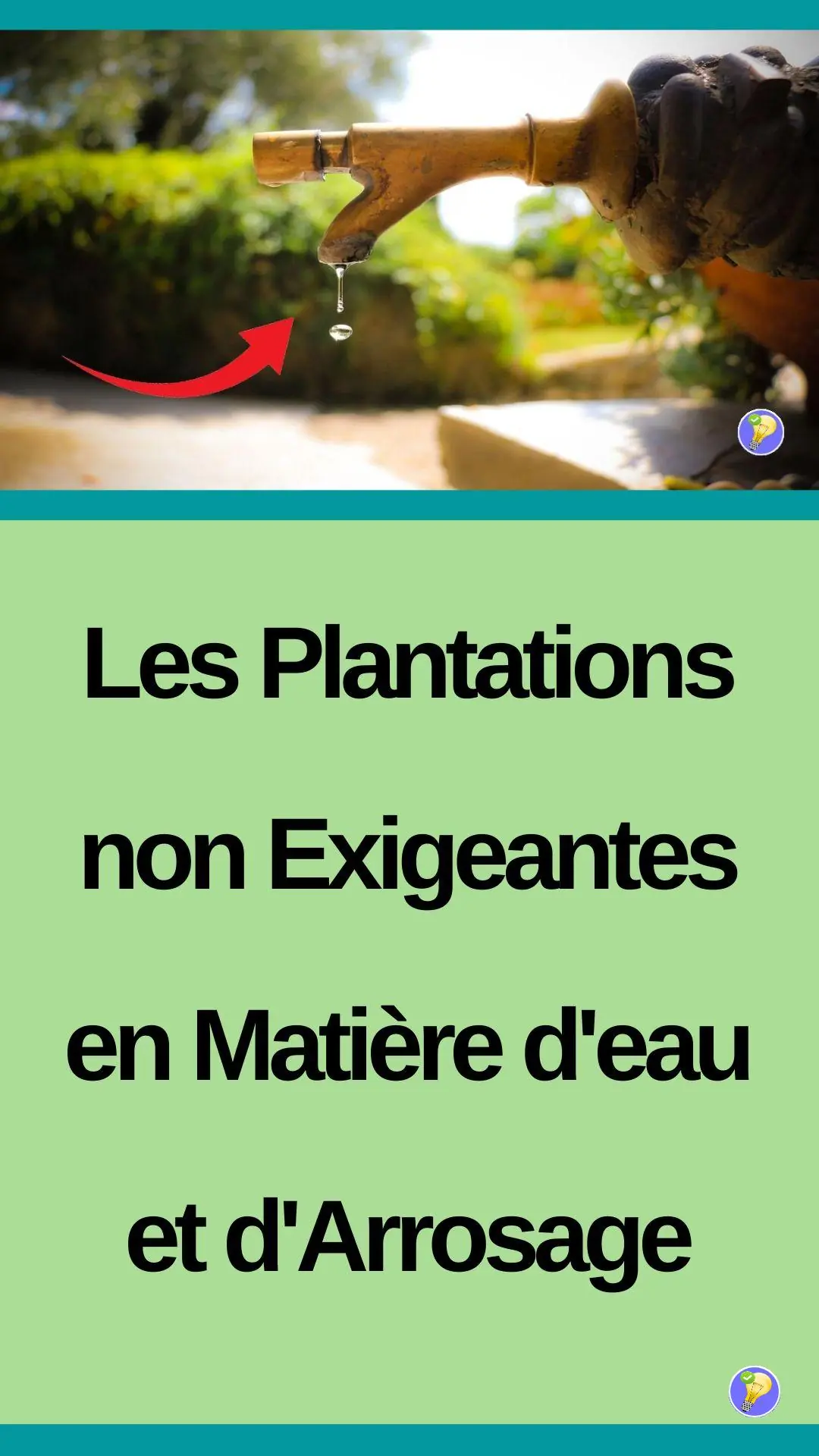 Les espèces végétales les plus résistantes à la sécheresse 