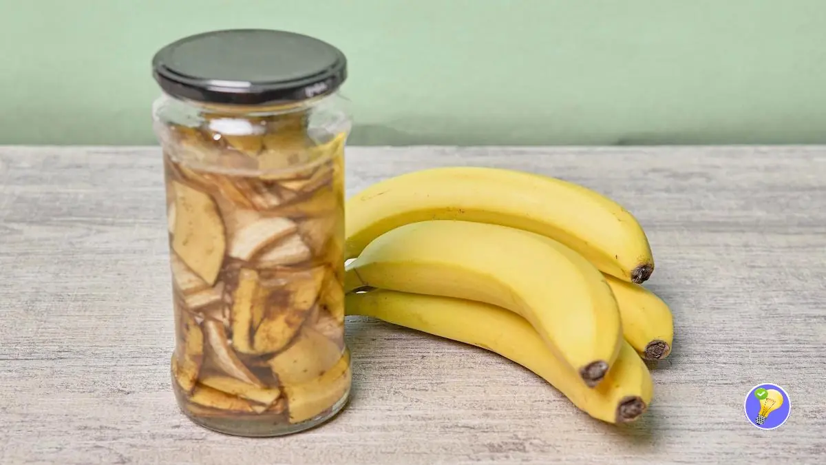 Engrais Banane : En 2 jours, vos Plantes vous Diront Merci