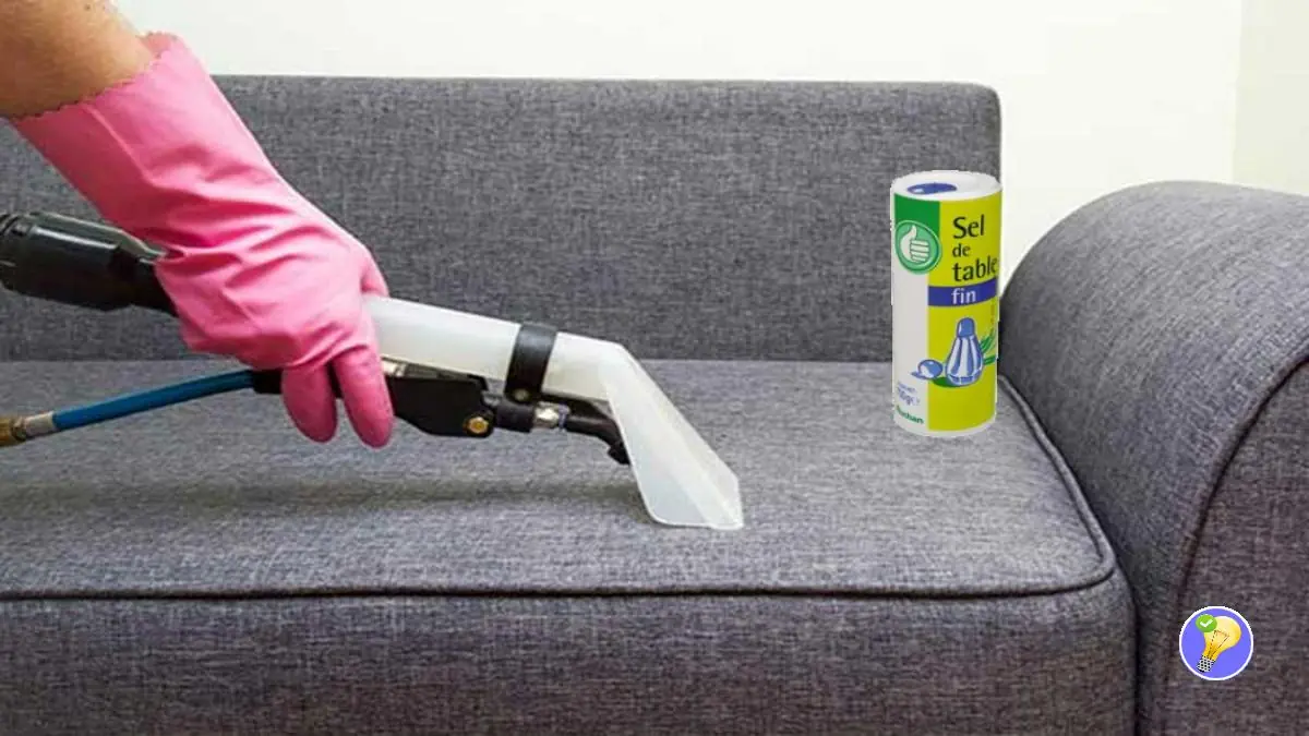 Taches d’urine sur un Tissu un Truc Facile pour les enlever
