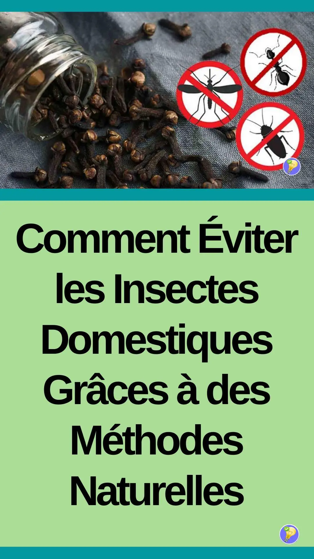 Méthodes naturelles pour éviter les insectes domestiques 