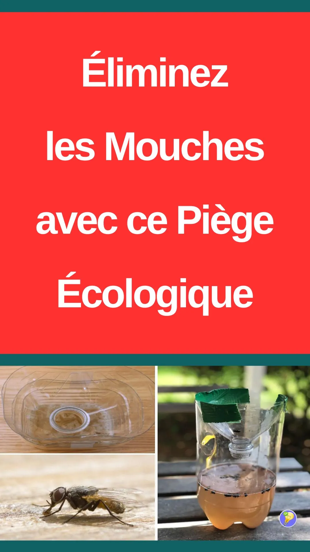 Astuce pour se débarrasser des mouches avec un piège fait maison 