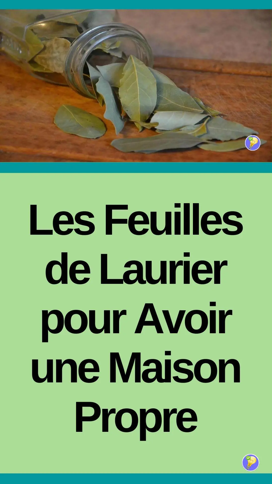 utilisations des Feuilles de Laurier pour avoir une Maison Propre 