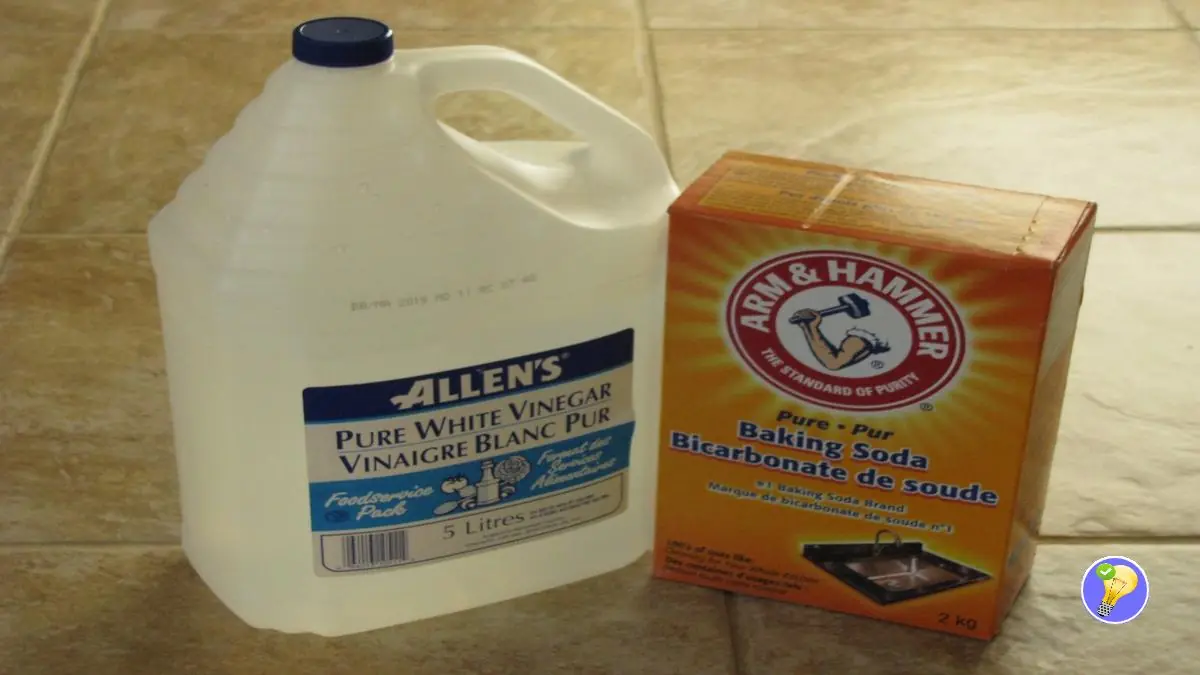 Astuces naturelles pour des Toilettes Propres et Fraîches Mortoise