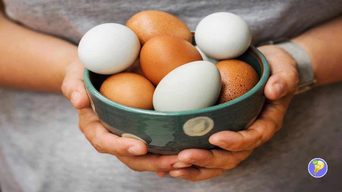 Œufs encore Bons ou Périmés 3 Façons pour en Savoir