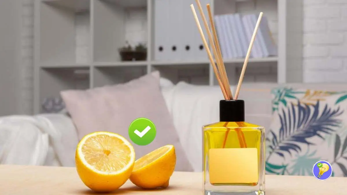 Parfumer Vos Chambres: 4 Idées Naturelles