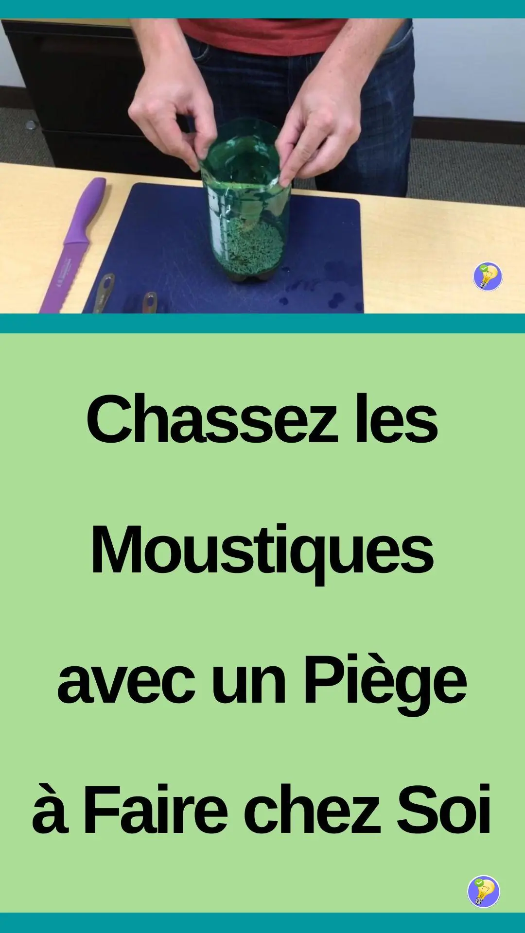 Astuce pour chasser les moustiques avec un piège fait maison 