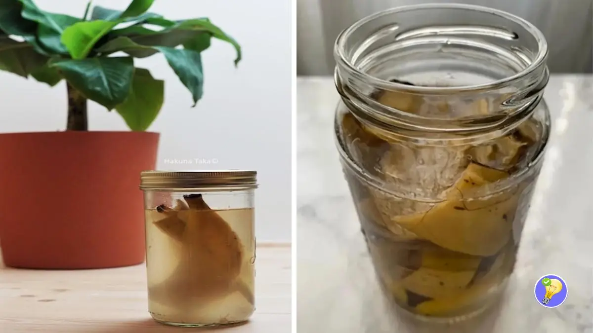 Vorteile von Bananenschalendünger