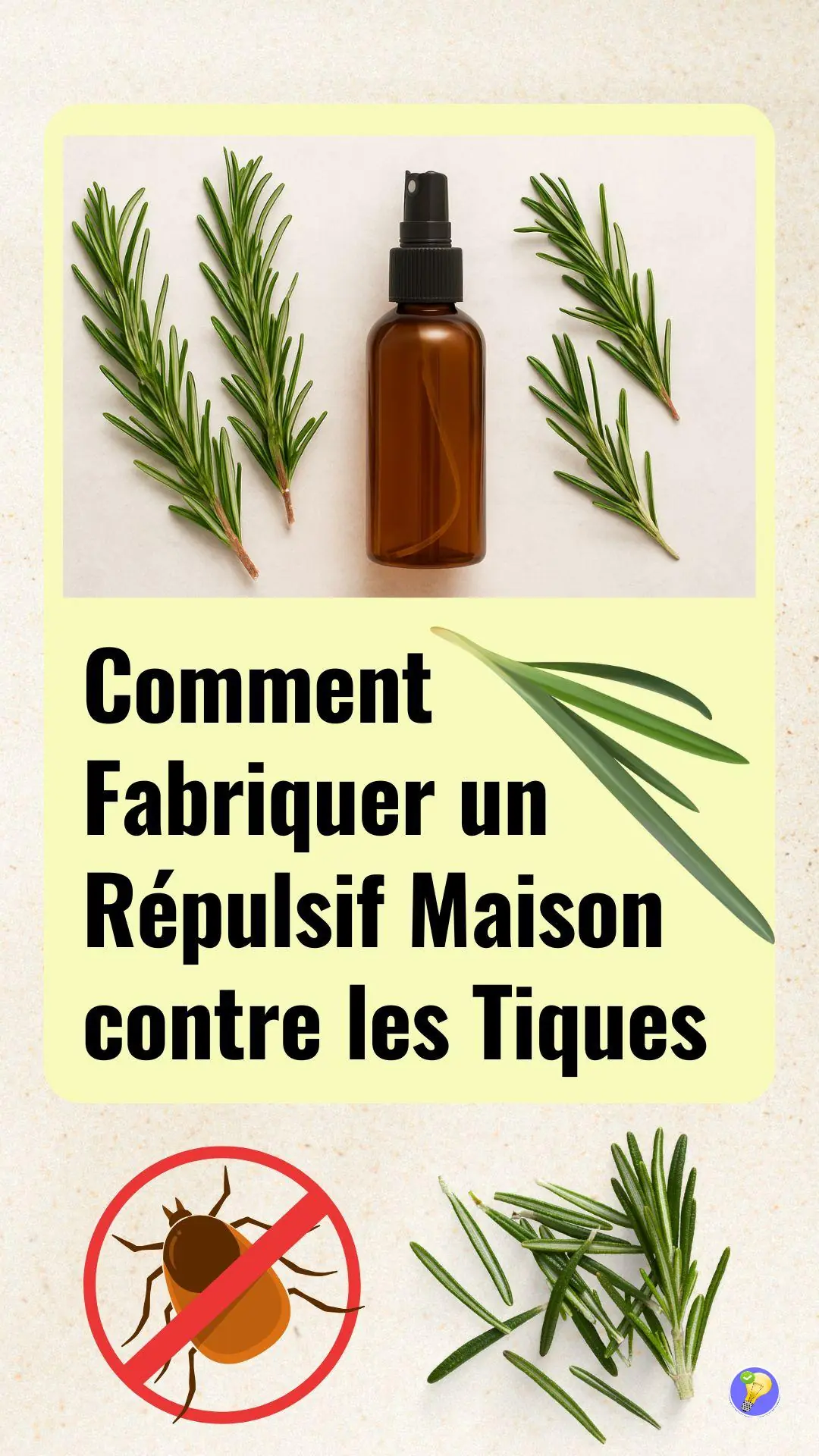 Créez votre propre spray anti-tiques naturel au romarin