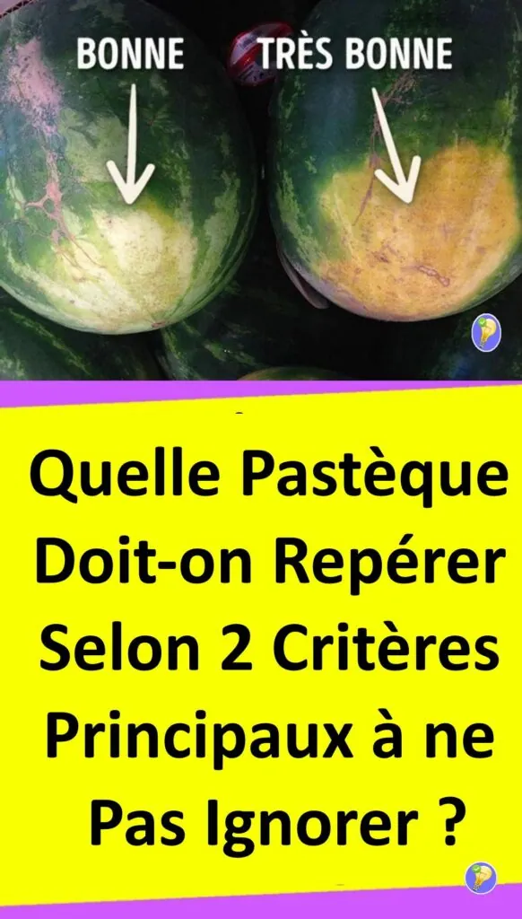 Des astuces pour choisir la meilleur pastèque 