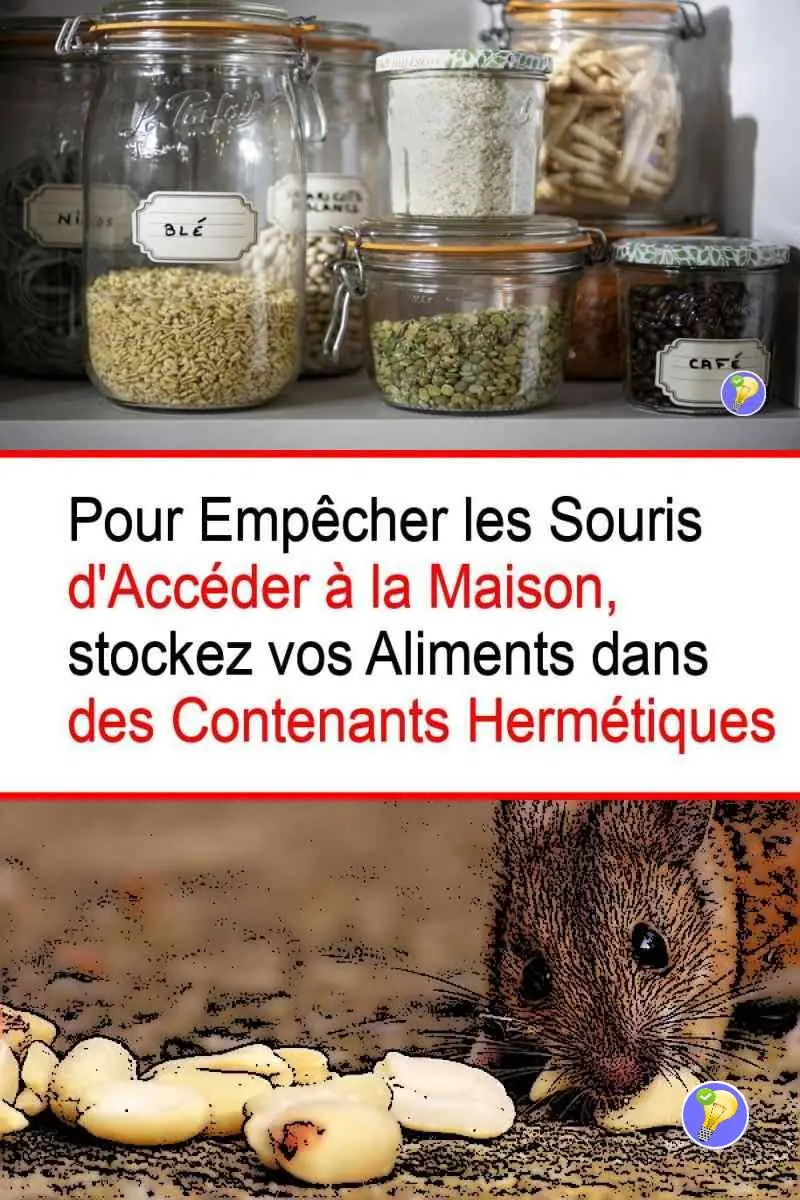 Astuce pour empêcher les souris d'accéder à la maison en bien stockant ses aliments