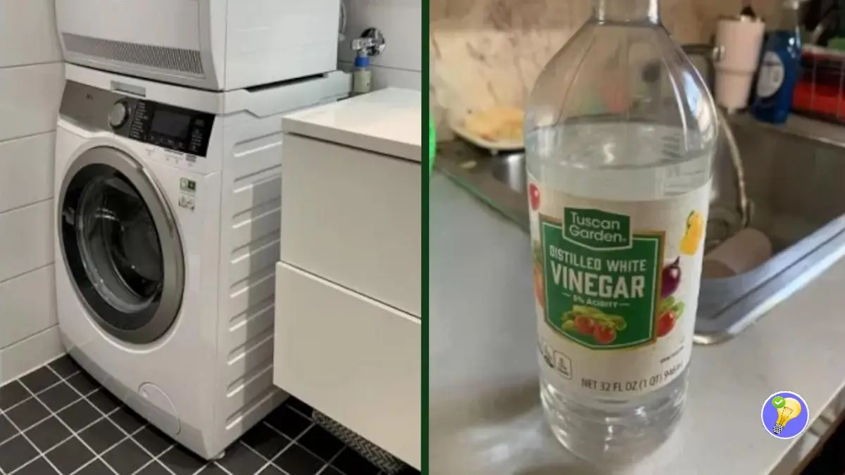 Vinaigre Blanc : Brillance et Mesures Prudentes