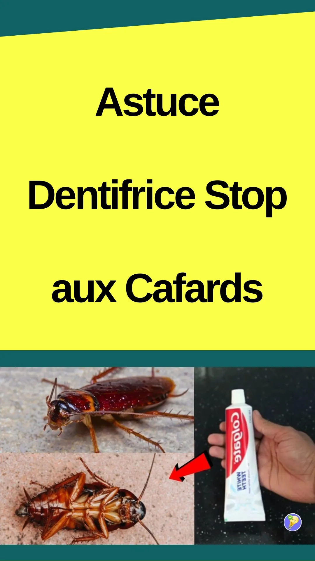 Astuce pour éloigner les cafards avec le dentifrice 