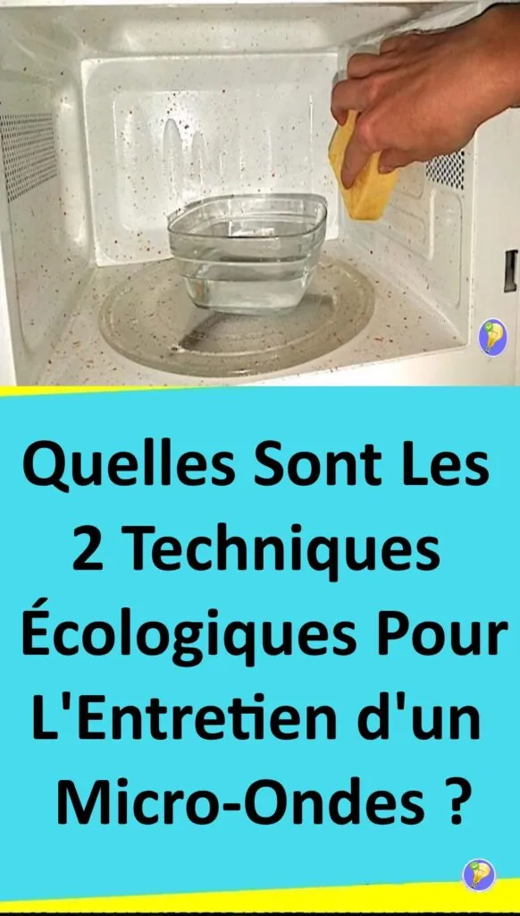 2 astuces pour nettoyer vos micro-ondes 