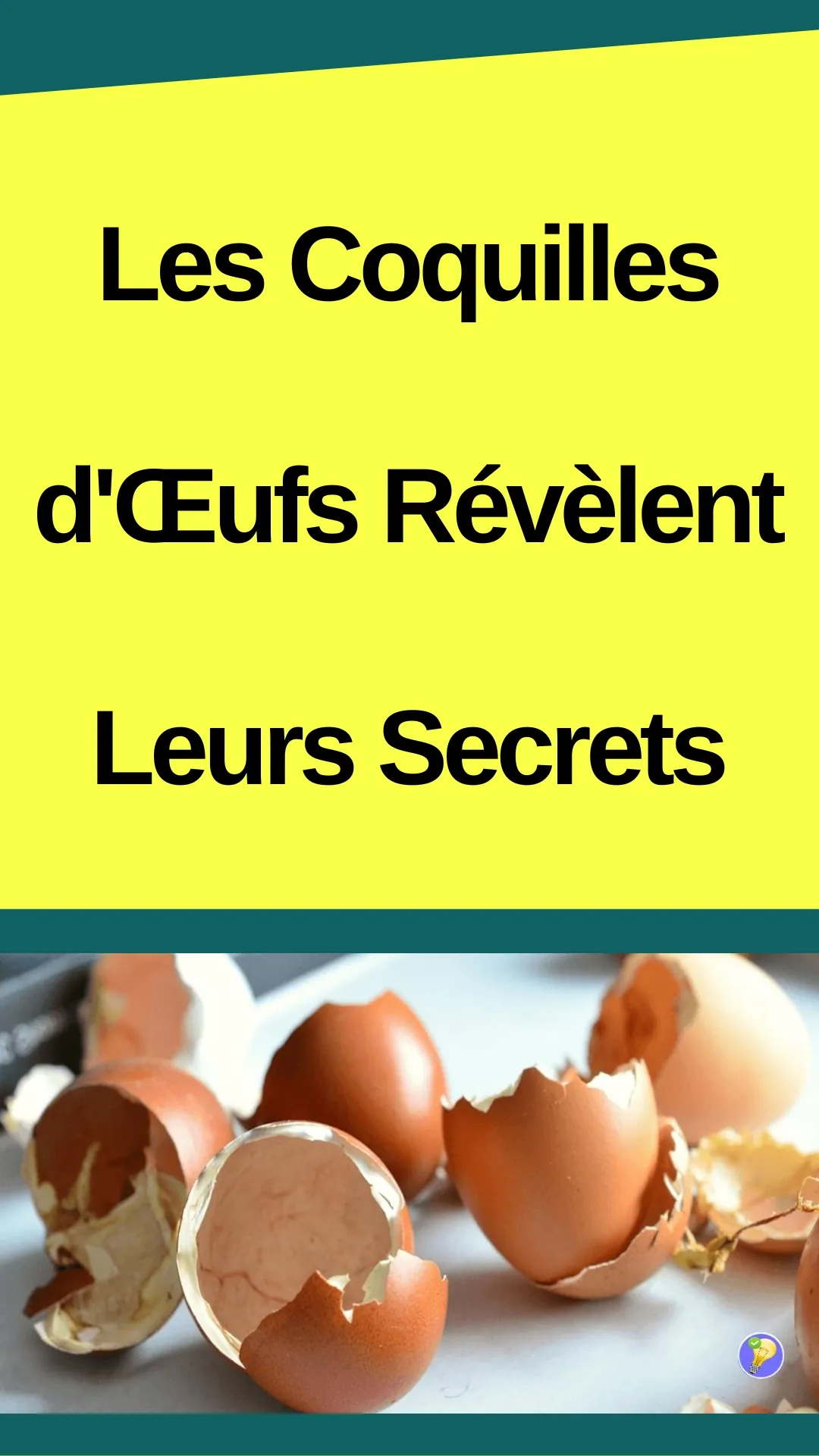 Astuces pour réutiliser les coquilles d'œufs 