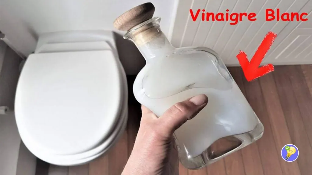 Plus d’Odeur d’Urine ! Suivez ces 6 Astuces Sûrs